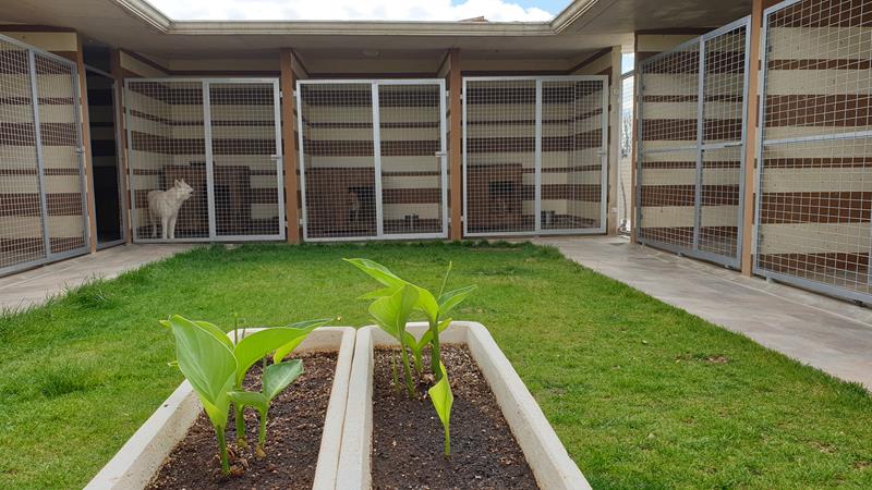 residencia canina en toledo