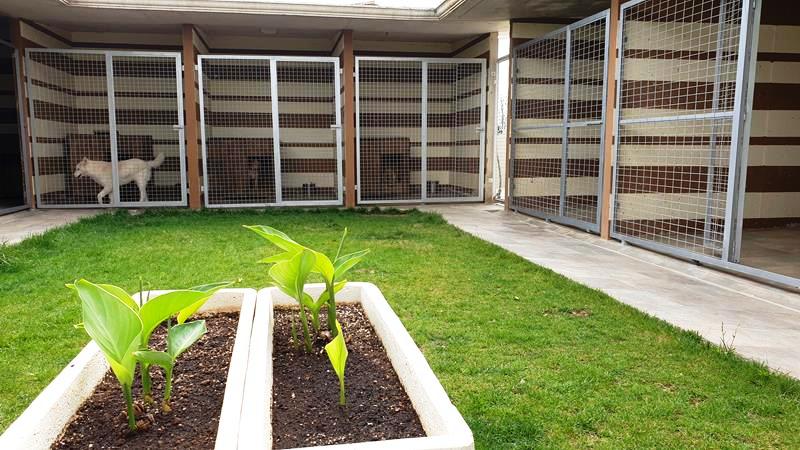 residencias caninas toledo