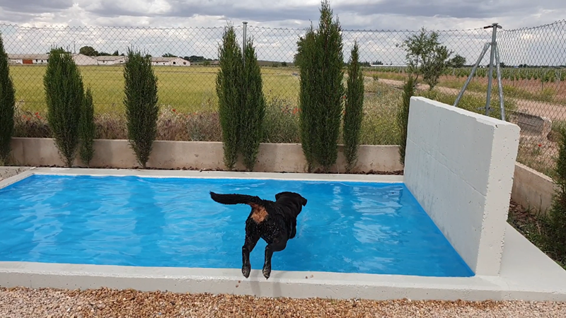 residencias canina toledo
